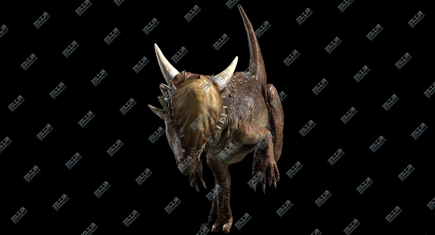 images/goods_img/202104023/PachyecphaloSaurus 3D (Rigged) 3D/2.jpg